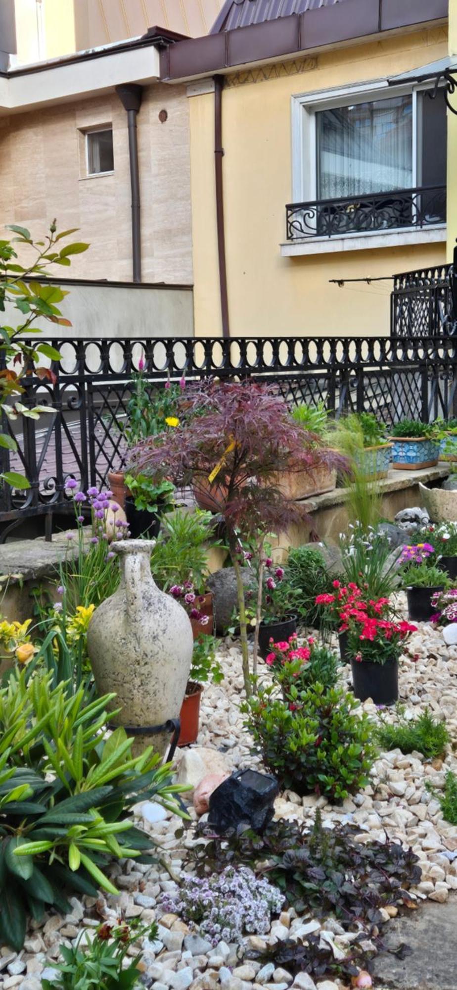 Luxury Private House In City Center Велико Търново Стая снимка